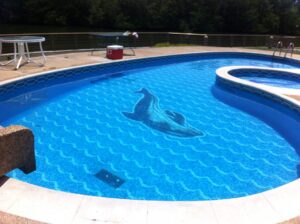 c6abca51-926e-4cf8-8710-fd2b81dd2835